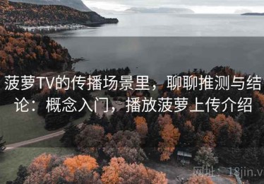 菠萝TV的传播场景里，聊聊推测与结论：概念入门，播放菠萝上传介绍