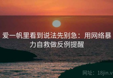 爱一帆里看到说法先别急：用网络暴力自救做反例提醒