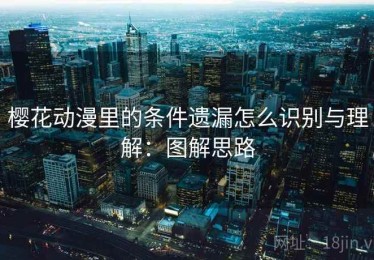 樱花动漫里的条件遗漏怎么识别与理解：图解思路