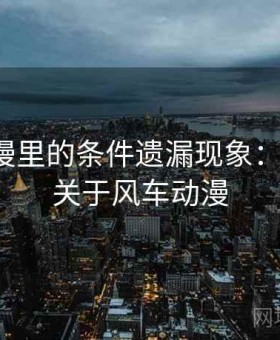 风车动漫里的条件遗漏现象：小课堂，关于风车动漫