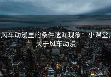 风车动漫里的条件遗漏现象：小课堂，关于风车动漫