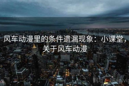 风车动漫里的条件遗漏现象：小课堂，关于风车动漫