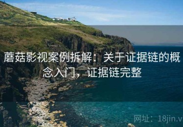 蘑菇影视案例拆解：关于证据链的概念入门，证据链完整