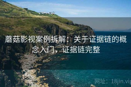 蘑菇影视案例拆解：关于证据链的概念入门，证据链完整