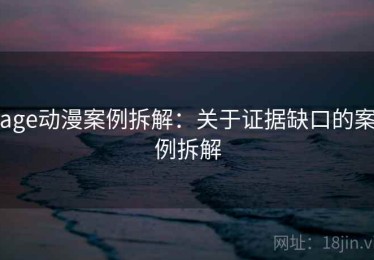 age动漫案例拆解：关于证据缺口的案例拆解
