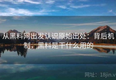从黑料网出发认识原始出处：背后机制，黑料是干什么用的