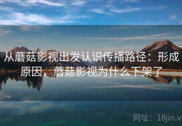 从蘑菇影视出发认识传播路径：形成原因，蘑菇影视为什么下架了