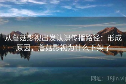从蘑菇影视出发认识传播路径：形成原因，蘑菇影视为什么下架了