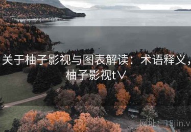 关于柚子影视与图表解读：术语释义，柚子影视t∨