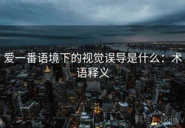 爱一番语境下的视觉误导是什么：术语释义