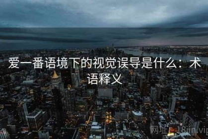 爱一番语境下的视觉误导是什么：术语释义