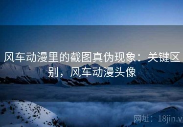 风车动漫里的截图真伪现象：关键区别，风车动漫头像