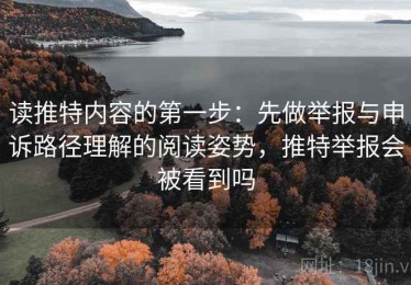 读推特内容的第一步：先做举报与申诉路径理解的阅读姿势，推特举报会被看到吗