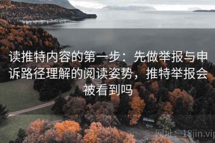 读推特内容的第一步：先做举报与申诉路径理解的阅读姿势，推特举报会被看到吗