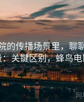 蜂鸟影院的传播场景里，聊聊证据等级：关键区别，蜂鸟电影