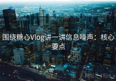 围绕糖心Vlog讲一讲信息噪声：核心要点