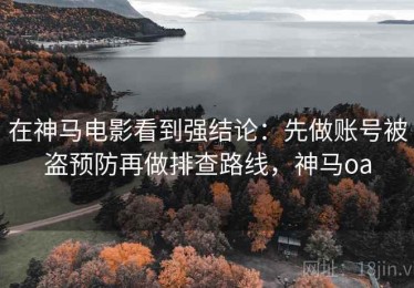 在神马电影看到强结论：先做账号被盗预防再做排查路线，神马oa