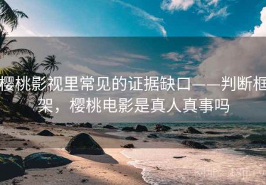 樱桃影视里常见的证据缺口——判断框架，樱桃电影是真人真事吗