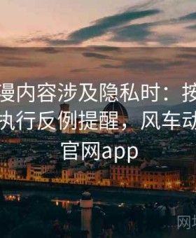 风车动漫内容涉及隐私时：按账号被盗预防执行反例提醒，风车动漫官方官网app