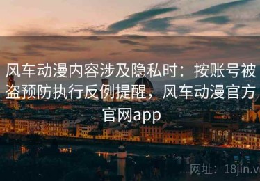 风车动漫内容涉及隐私时：按账号被盗预防执行反例提醒，风车动漫官方官网app