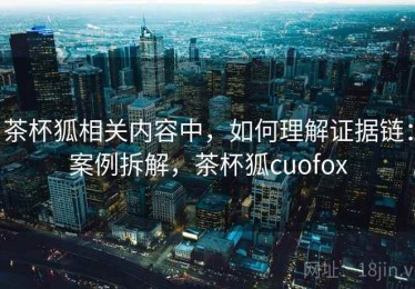 茶杯狐相关内容中，如何理解证据链：案例拆解，茶杯狐cuofox