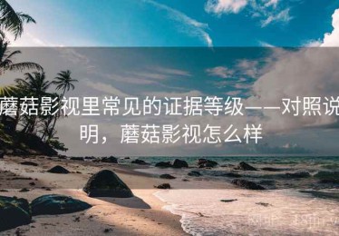 蘑菇影视里常见的证据等级——对照说明，蘑菇影视怎么样