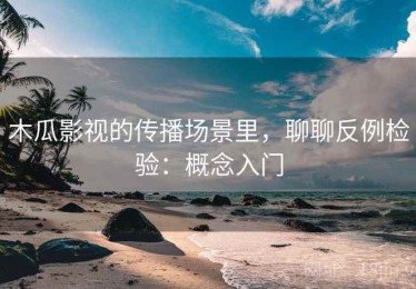 木瓜影视的传播场景里，聊聊反例检验：概念入门