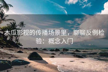 木瓜影视的传播场景里，聊聊反例检验：概念入门