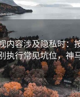 神马影视内容涉及隐私时：按以偏概全识别执行常见坑位，神马应该