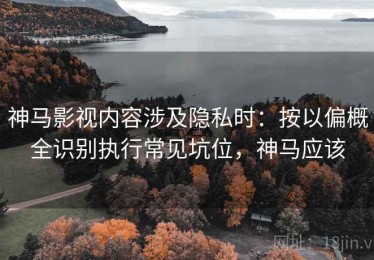 神马影视内容涉及隐私时：按以偏概全识别执行常见坑位，神马应该
