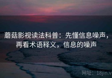 蘑菇影视读法科普：先懂信息噪声，再看术语释义，信息的噪声