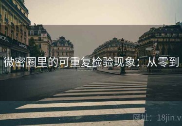 微密圈里的可重复检验现象：从零到一