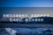 用樱花动漫做例子，讲清图表解读：形成原因，樱花动漫现状