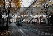 把风车动漫当样本：情绪化表达的从零到一，风车动漫是什么