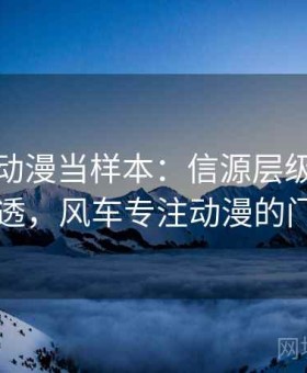 把风车动漫当样本：信源层级的一篇讲透，风车专注动漫的门户