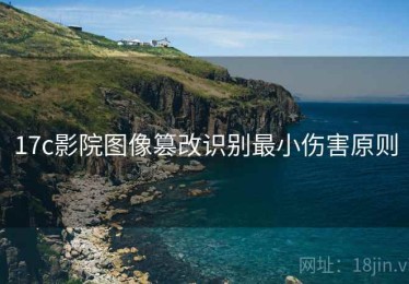17c影院图像篡改识别最小伤害原则