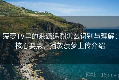 菠萝TV里的来源追溯怎么识别与理解：核心要点，播放菠萝上传介绍