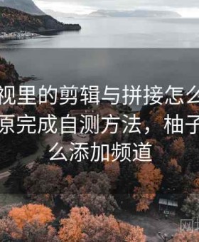 柚子影视里的剪辑与拼接怎么辨：用语境还原完成自测方法，柚子影视怎么添加频道