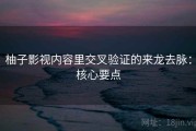 柚子影视内容里交叉验证的来龙去脉：核心要点