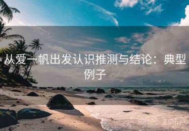 从爱一帆出发认识推测与结论：典型例子