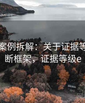 爱一番案例拆解：关于证据等级的判断框架，证据等级e