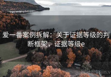 爱一番案例拆解：关于证据等级的判断框架，证据等级e