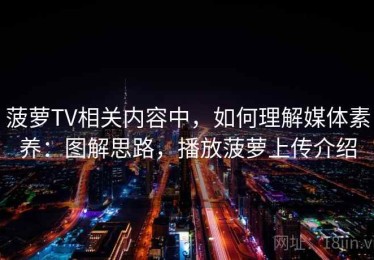 菠萝TV相关内容中，如何理解媒体素养：图解思路，播放菠萝上传介绍