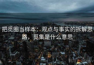 把觅圈当样本：观点与事实的拆解思路，觅集是什么意思
