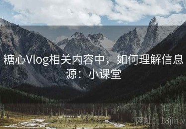 糖心Vlog相关内容中，如何理解信息源：小课堂