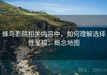 蜂鸟影院相关内容中，如何理解选择性呈现：概念地图