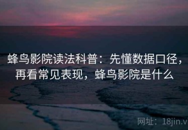 蜂鸟影院读法科普：先懂数据口径，再看常见表现，蜂鸟影院是什么