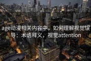 age动漫相关内容中，如何理解视觉误导：术语释义，视觉attention
