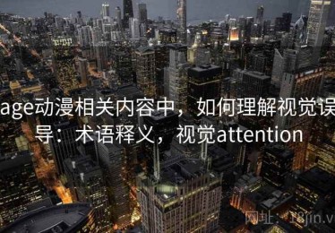 age动漫相关内容中，如何理解视觉误导：术语释义，视觉attention