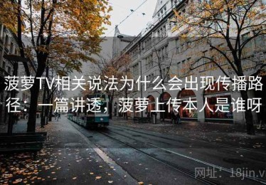 菠萝TV相关说法为什么会出现传播路径：一篇讲透，菠萝上传本人是谁呀